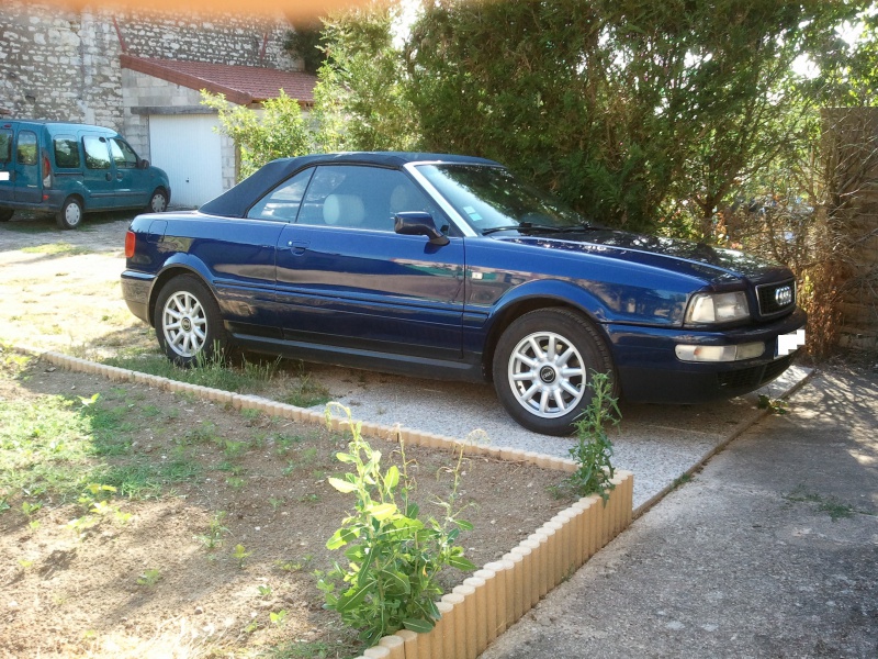 248271Photo6241.jpg