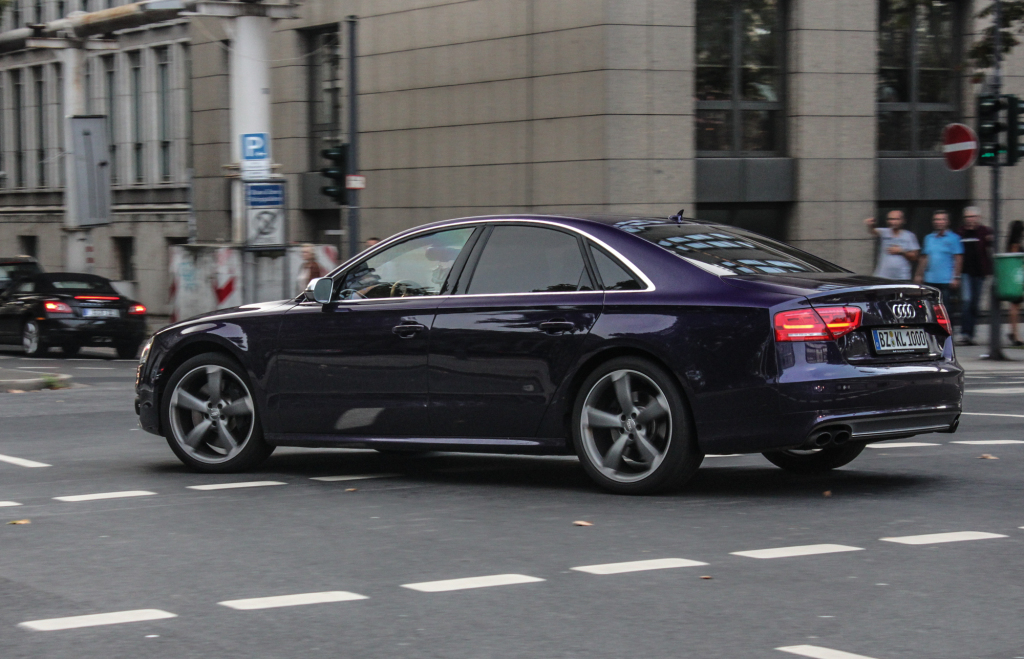 251016S8D41204.jpg