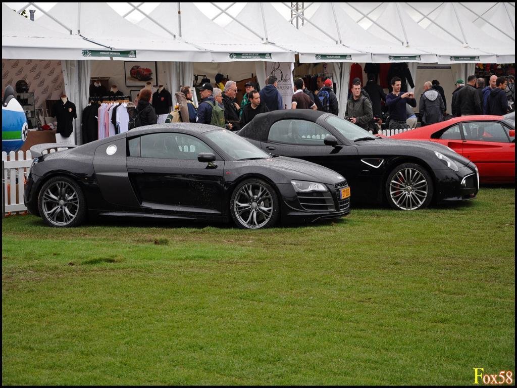 251451R8GT776.jpg