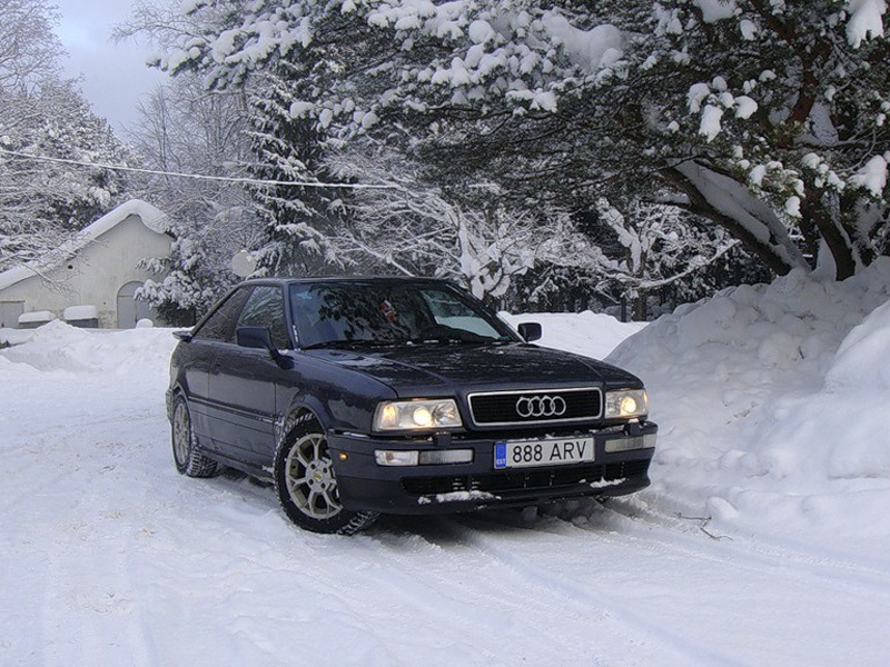 253926400NEIGEESQUIROU.jpg