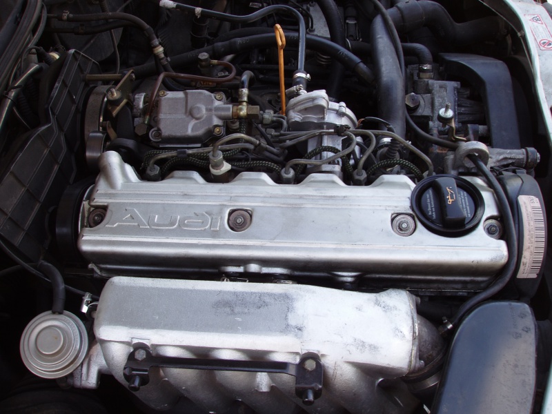 254653P1010070.jpg