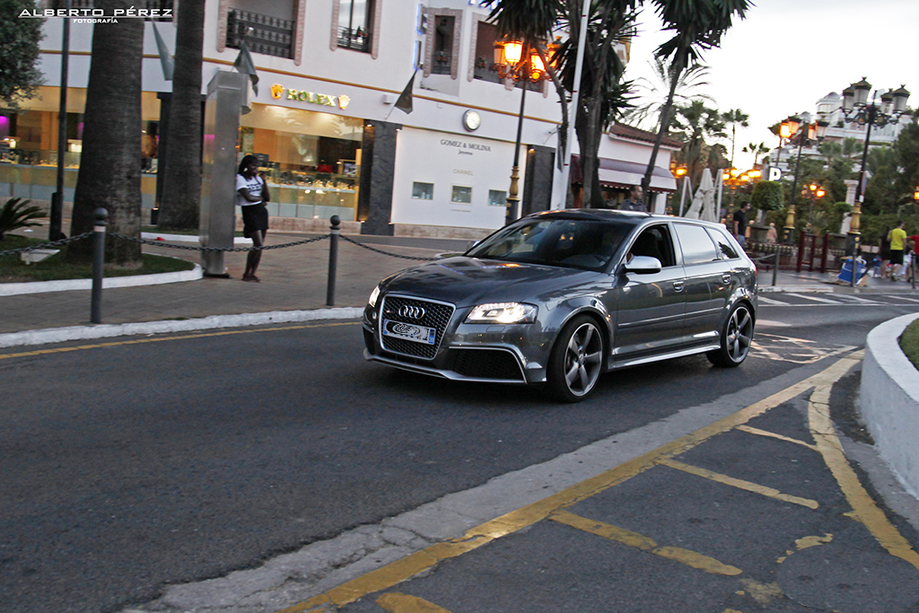 254732942RS3.jpg