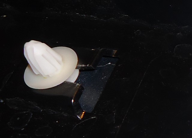 254964p14640x480.jpg
