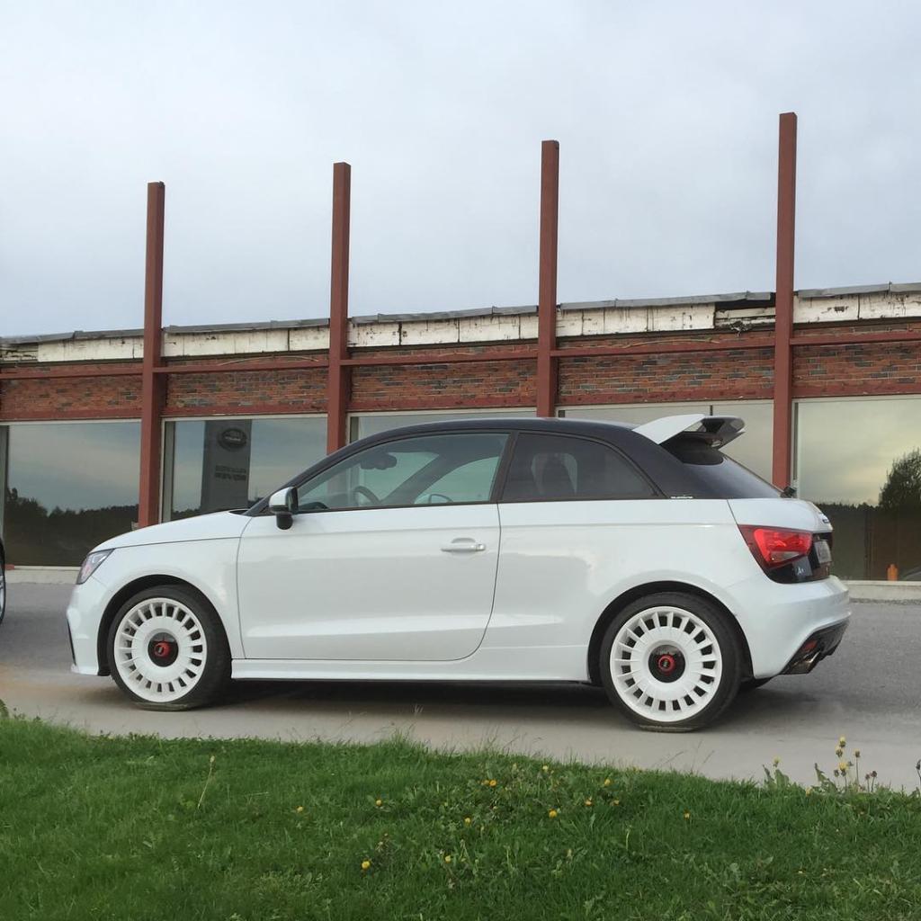 256343A1QUATTRO1211.jpg