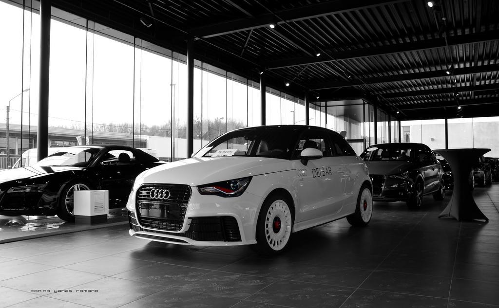 257208A1QUATTRO253.jpg