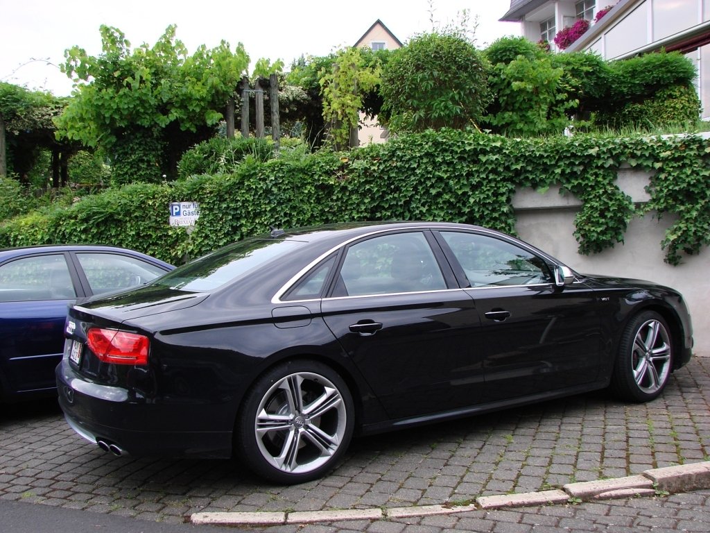 258085S8D4802.jpg