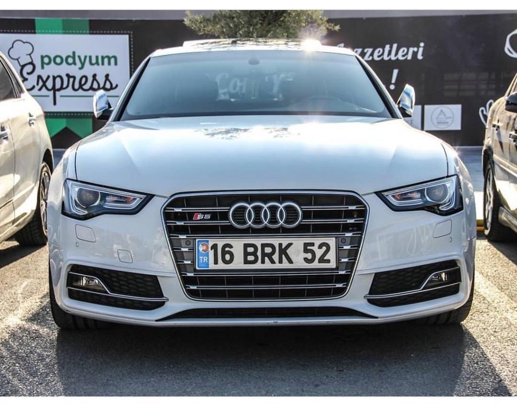 2586622519S5.jpg