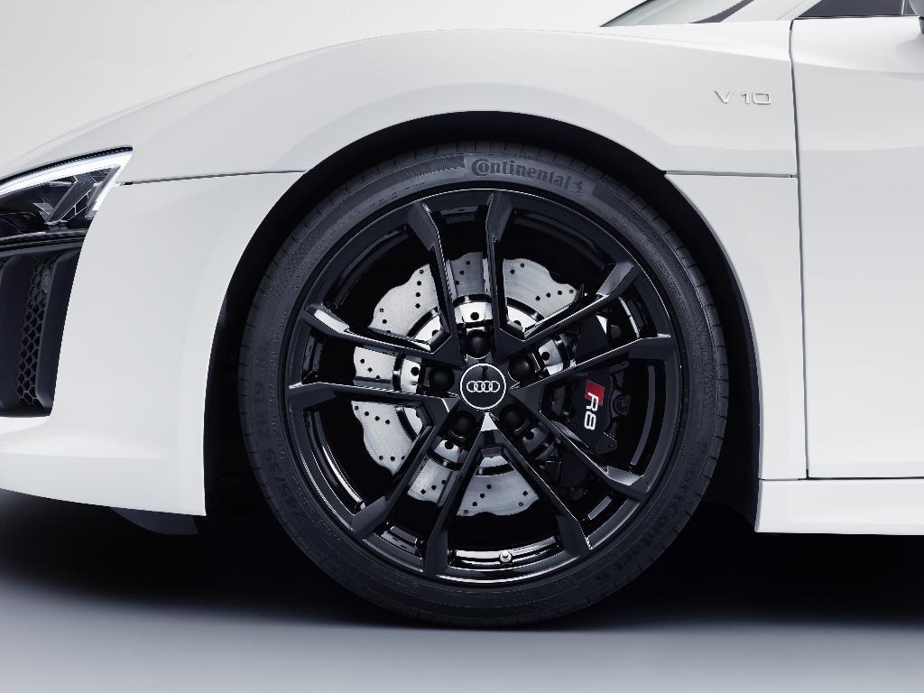 2591390011R8V10MK2RWS.jpg