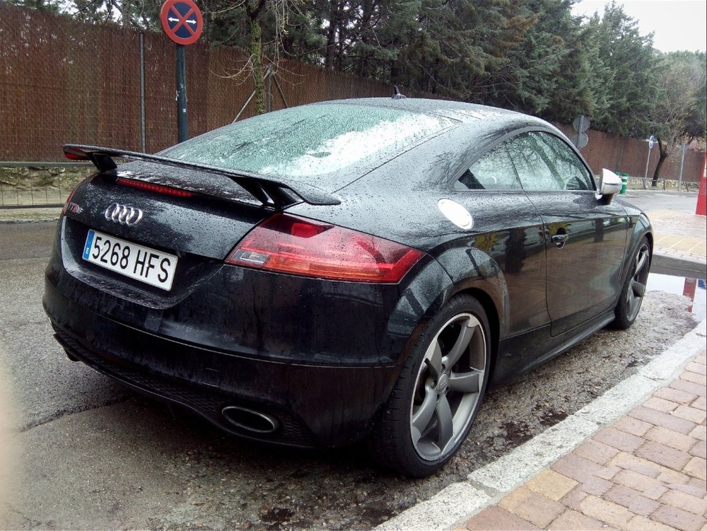 261242AUDITTRS1449.jpg