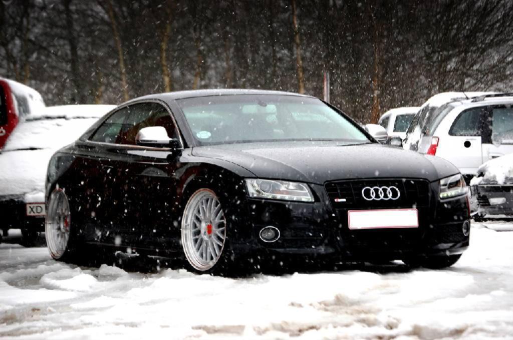 2613291050NEIGE.jpg