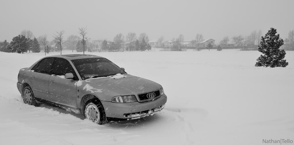 261864642NEIGE.jpg