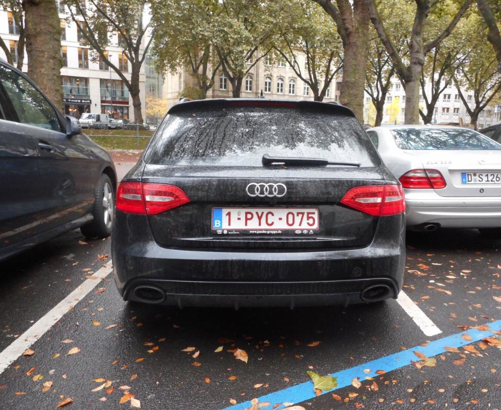 262163RS4B82693.jpg
