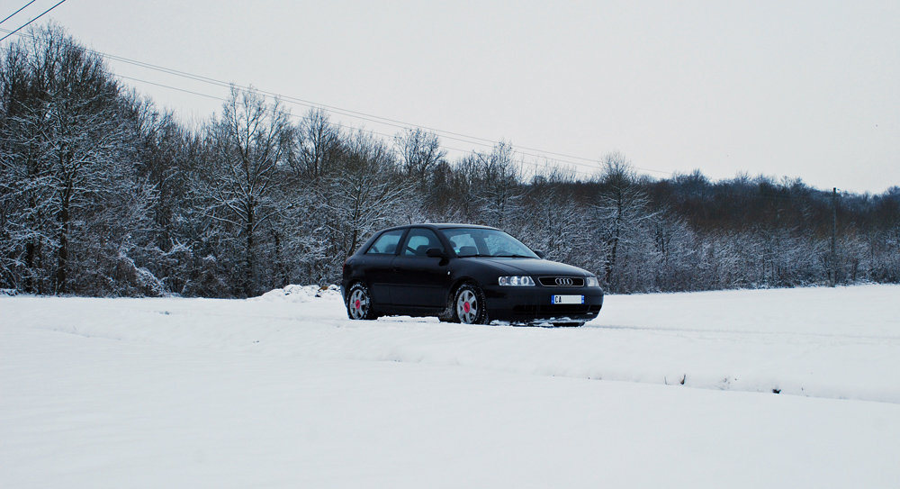 263716DSC5422b.jpg