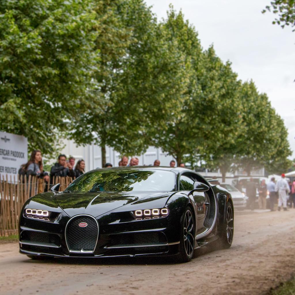 265619CHIRON0285.jpg