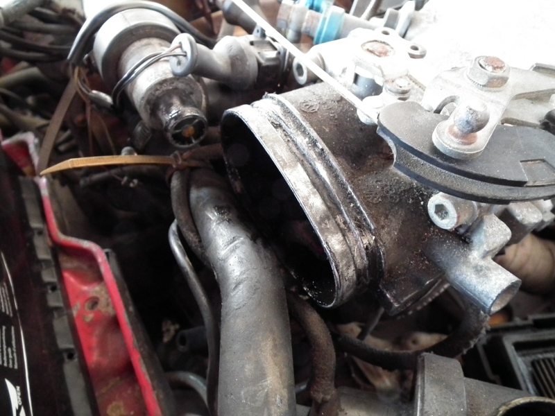 266166DSCF2195.jpg