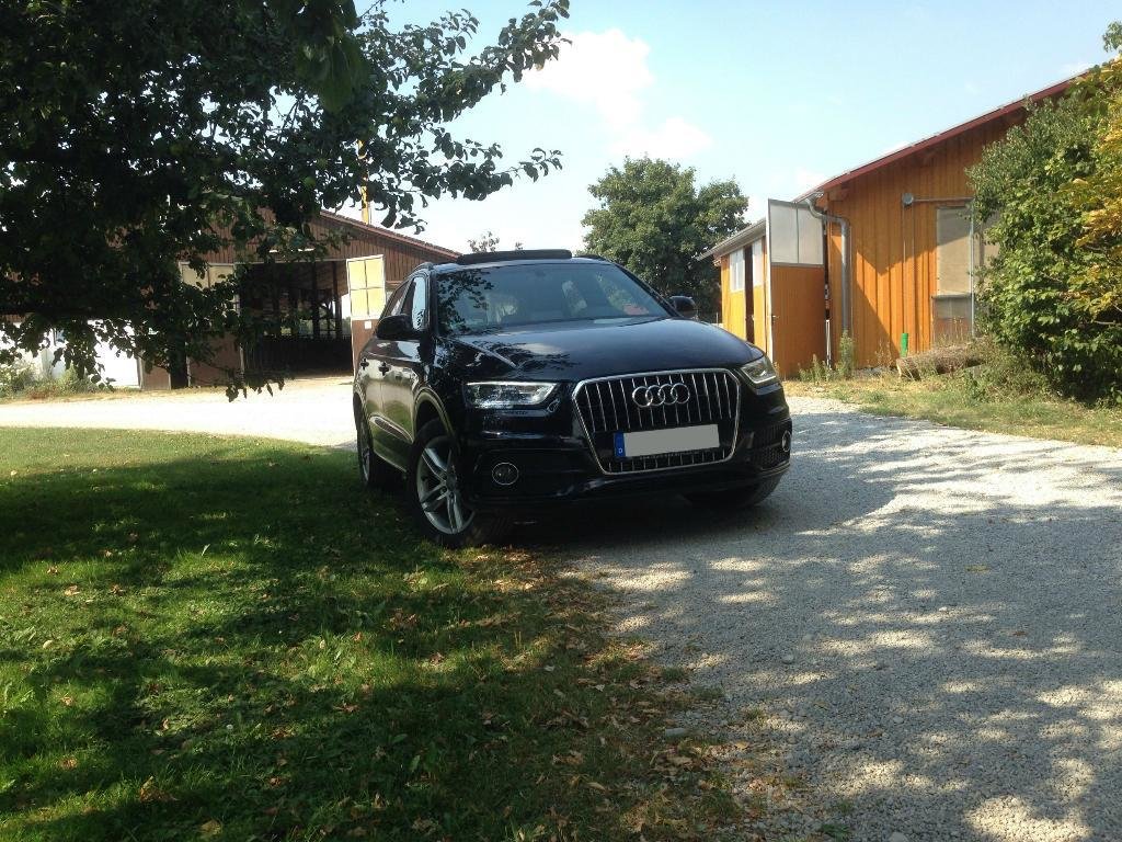 269907Q3880.jpg