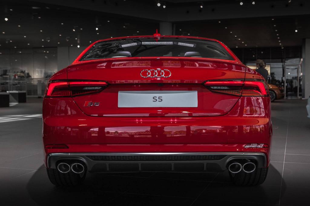 273509S5B90353.jpg