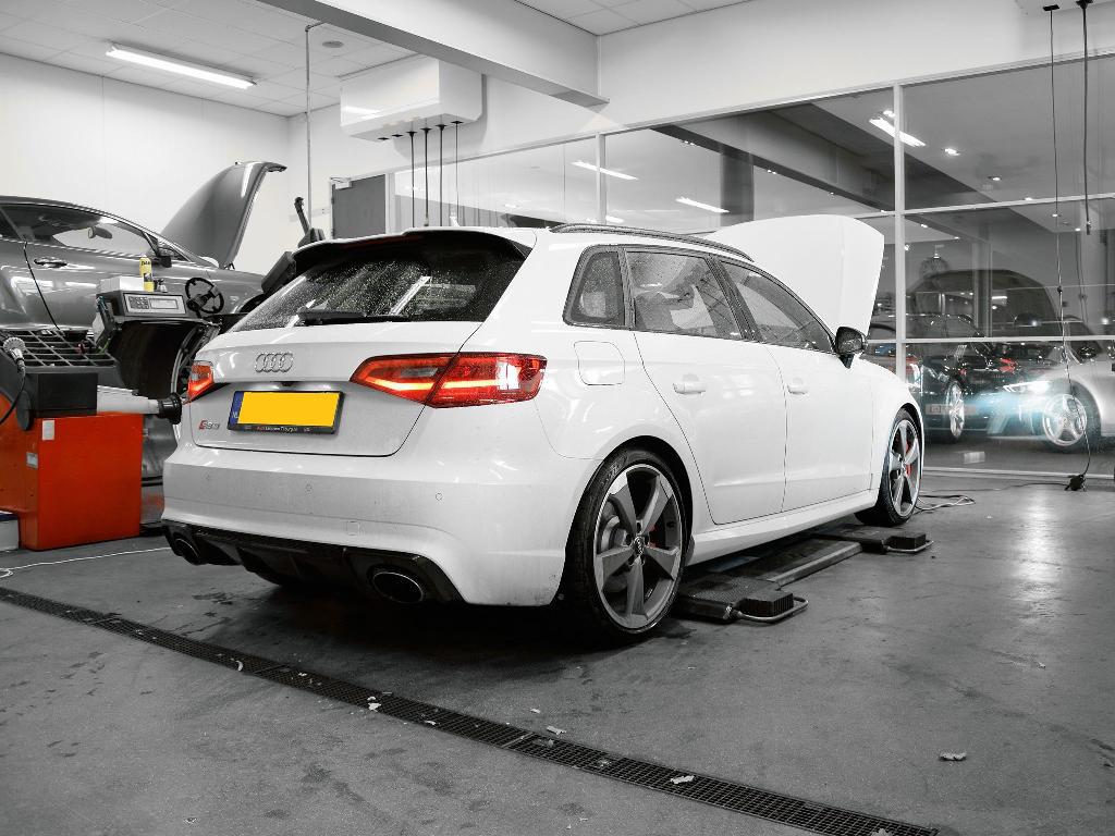 274742RS38V1613.jpg