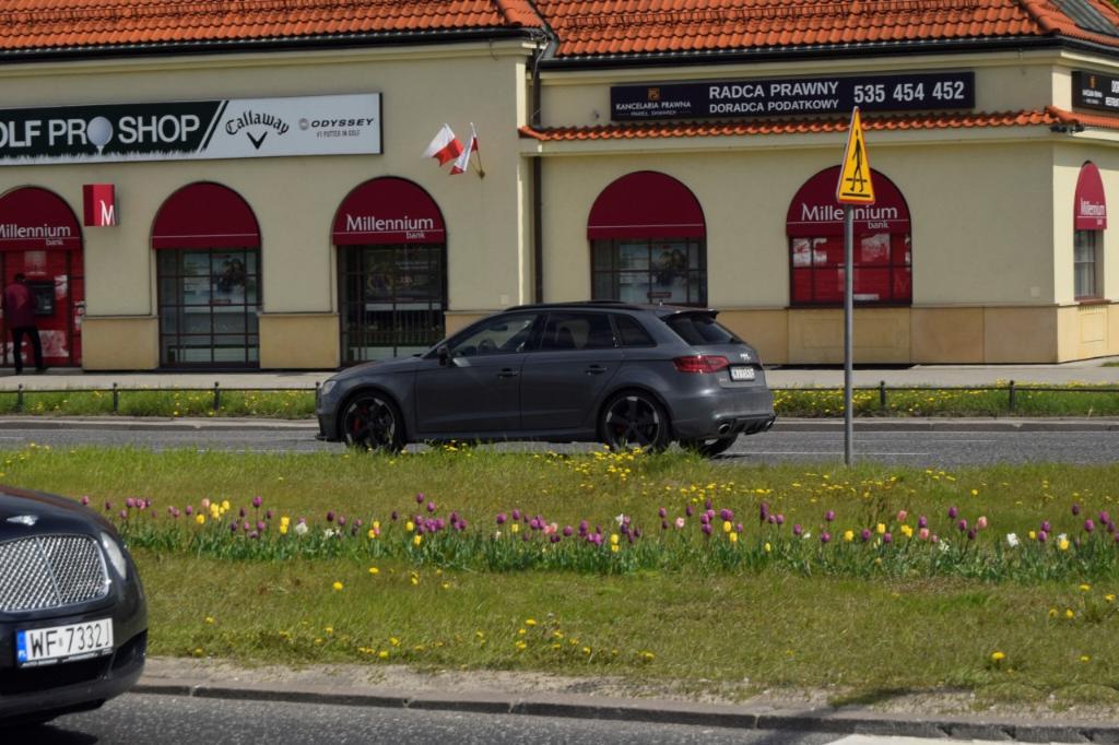 275693RS38V2537.jpg