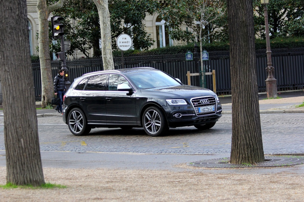 278151AUDISQ5933.jpg