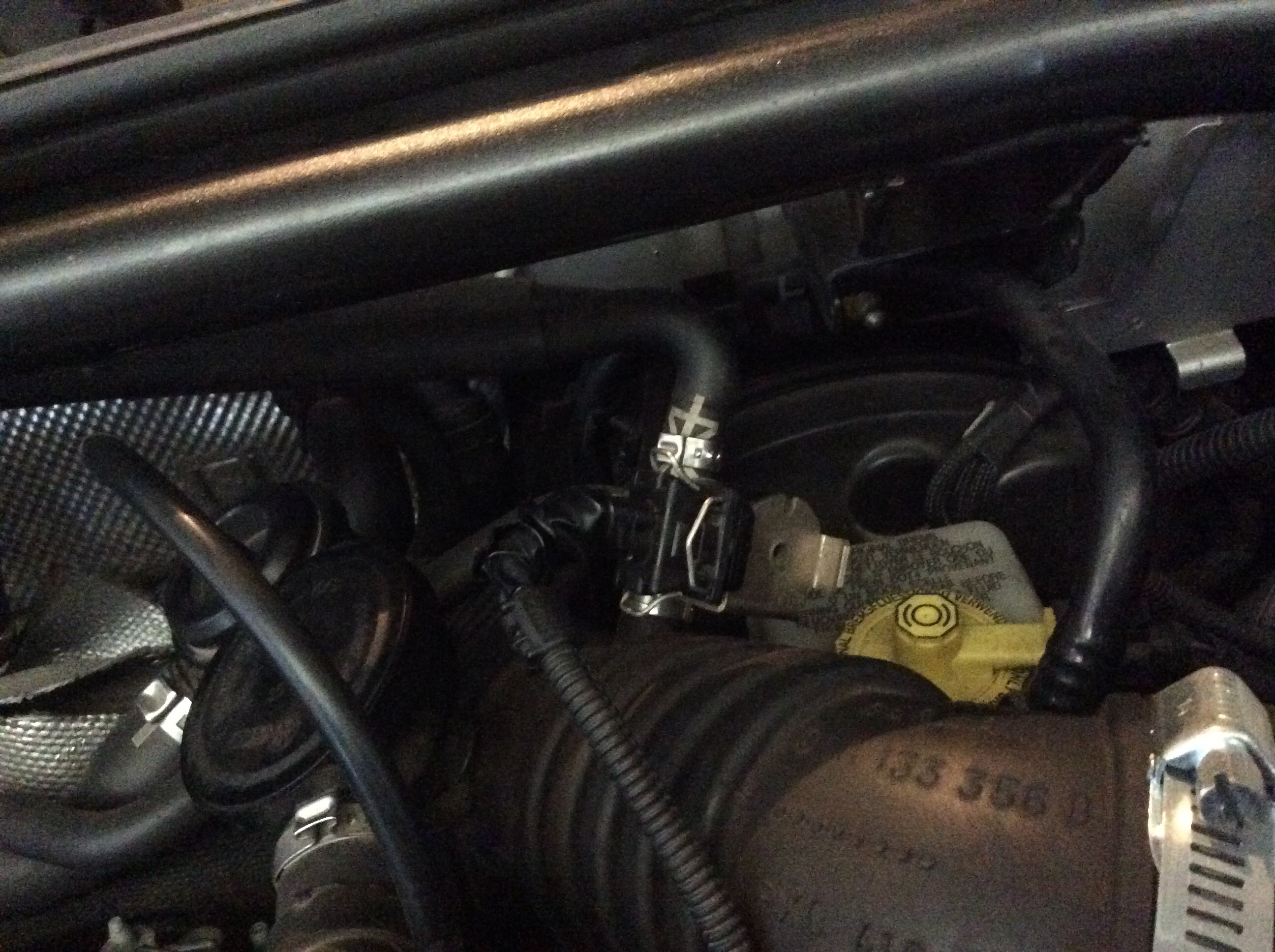 278665image285.jpg
