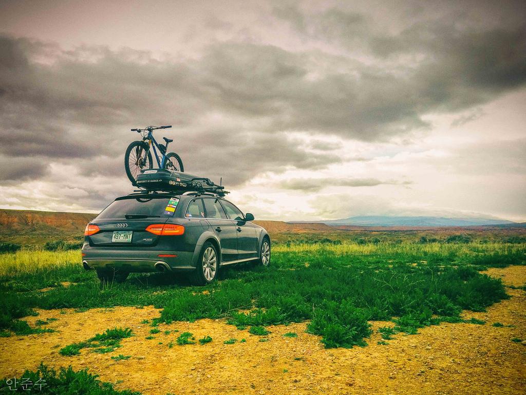 2788381618AUDIA4ALLROAD.jpg