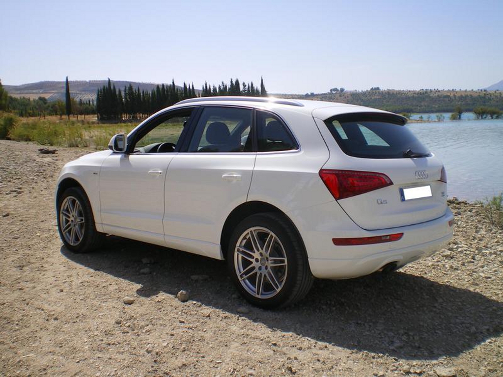 279302502Q5.jpg