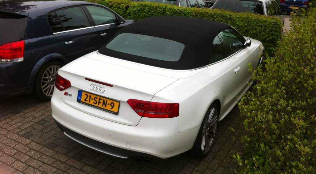 279350770S5.jpg