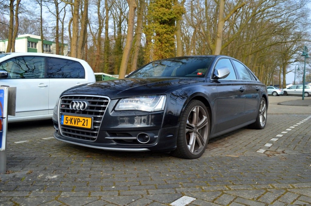 279493S8D41423.jpg
