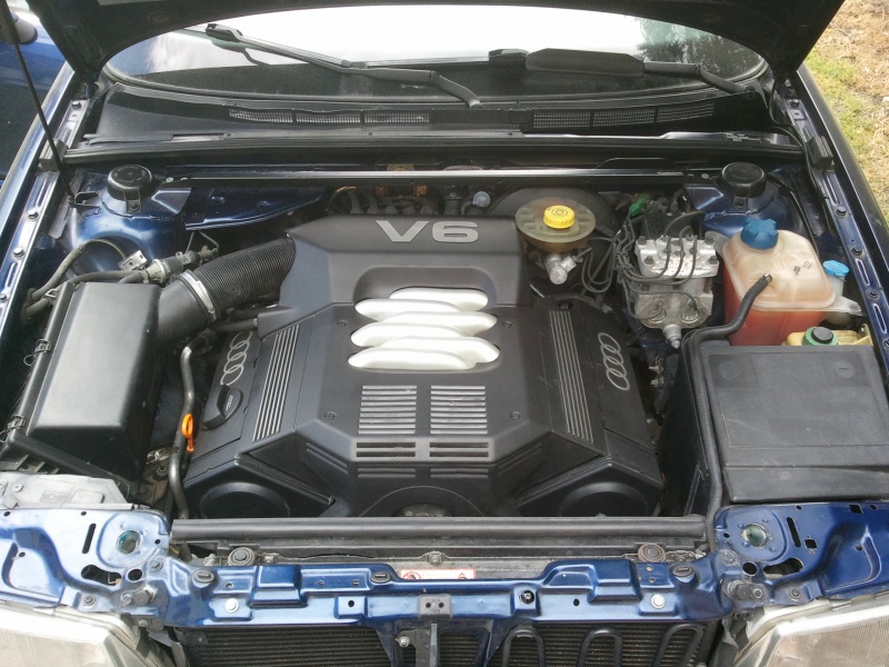 279505Photo7409.jpg