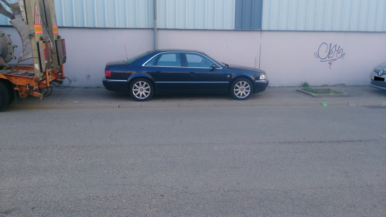 279814DSC0140.jpg