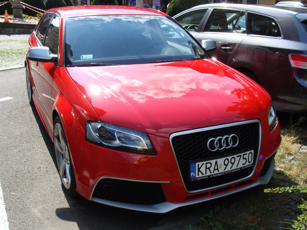 280034951RS3.jpg