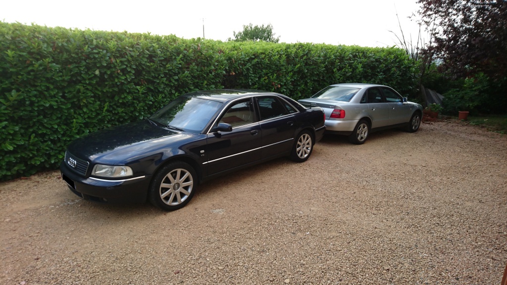 281374DSC18151.jpg