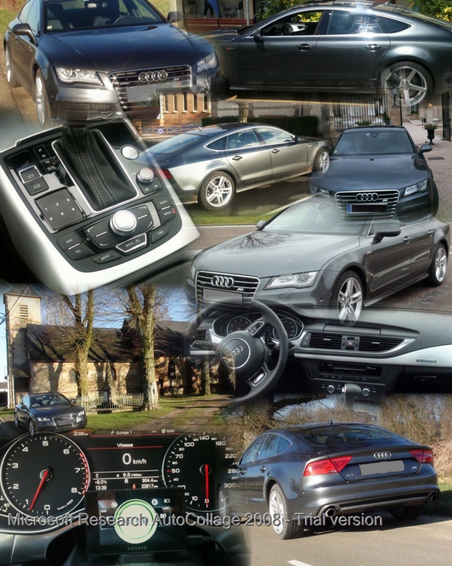 285507PsamoldieAutoCollage10Images.jpg