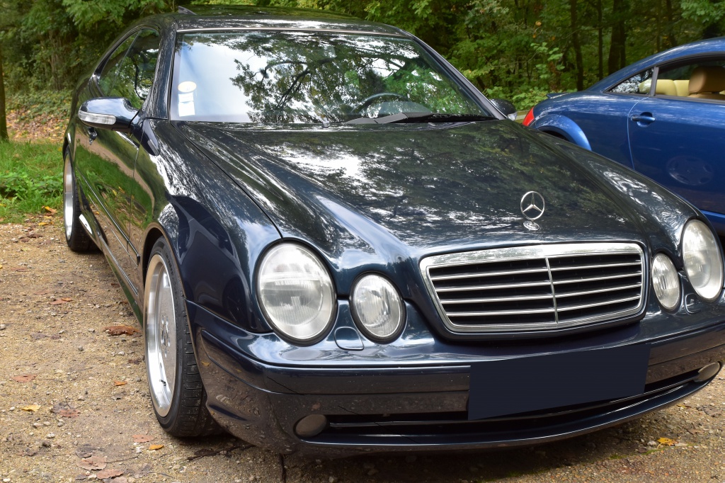 287106DSC00252.jpg