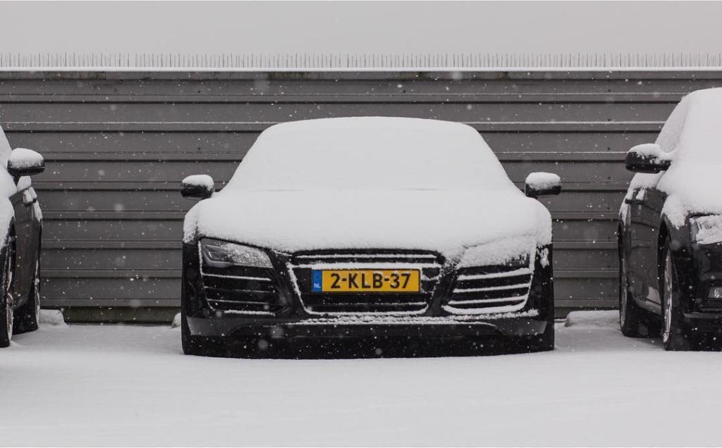 2877802110NEIGE.jpg