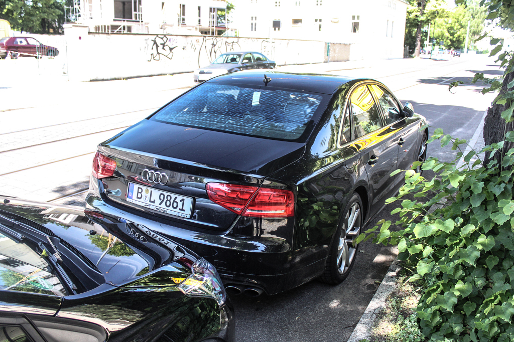289343S8D4775.jpg