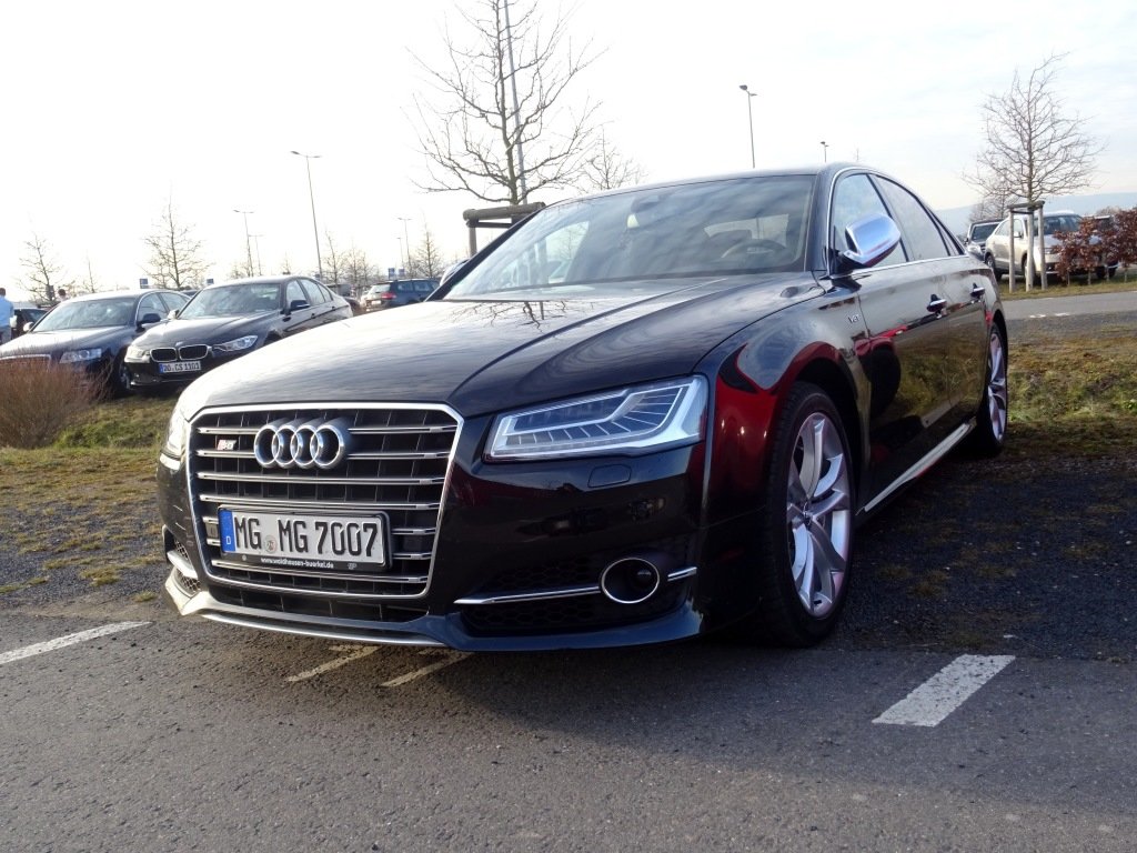 289583S8D41384.jpg