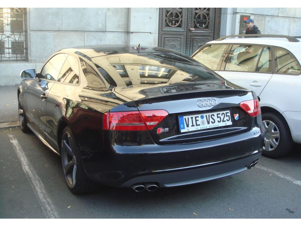 290078246S5ESQUIROU.jpg