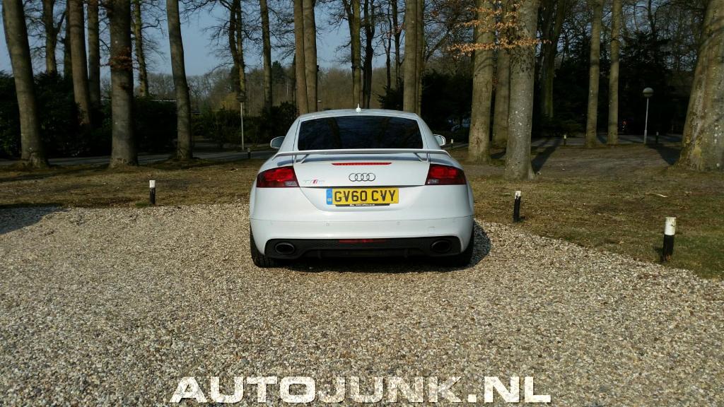 290292AUDITTRS1475.jpg