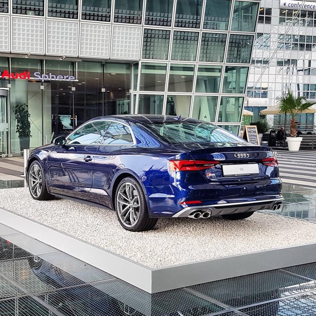 290850S5B90211.jpg