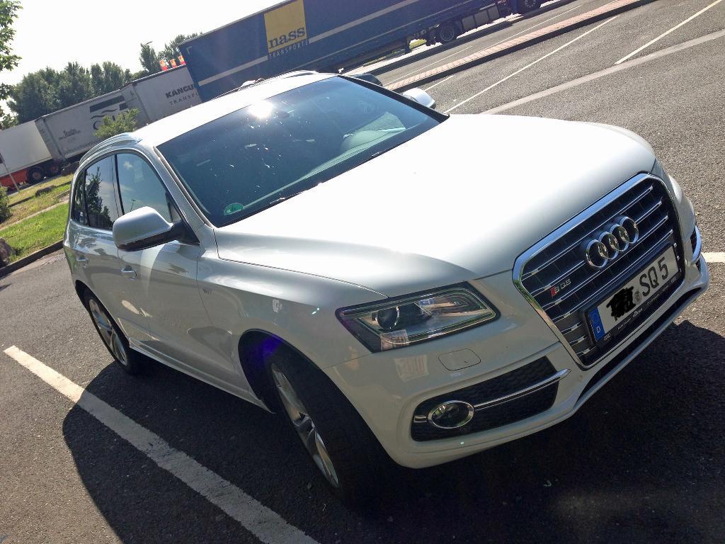 291287AUDISQ5560.jpg