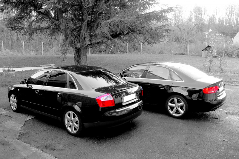 292115IMG0387.jpg
