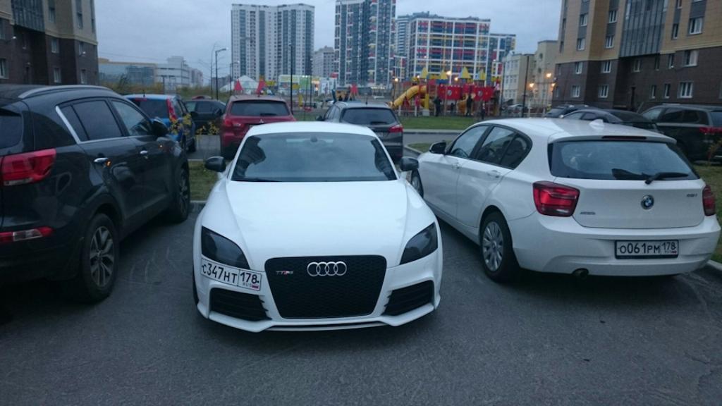 292286AUDITTRS2464.jpg
