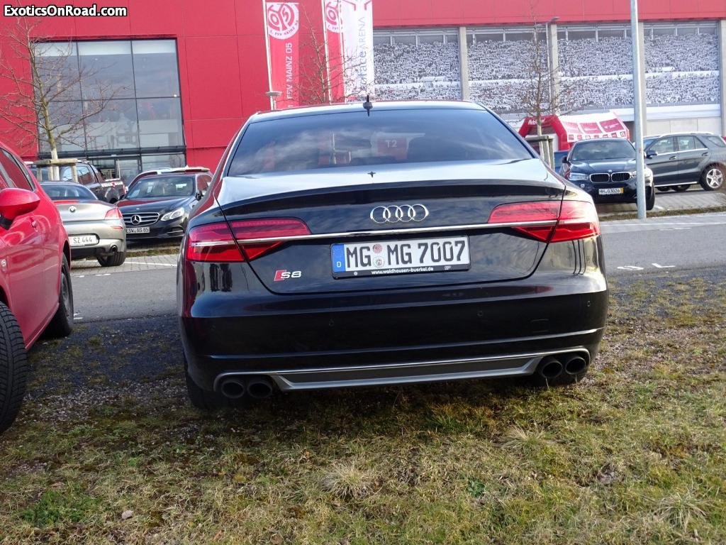 295708S8D41461.jpg