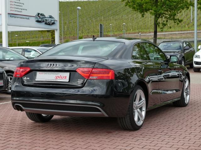 2957683803_zpsd8e3ef18.jpg