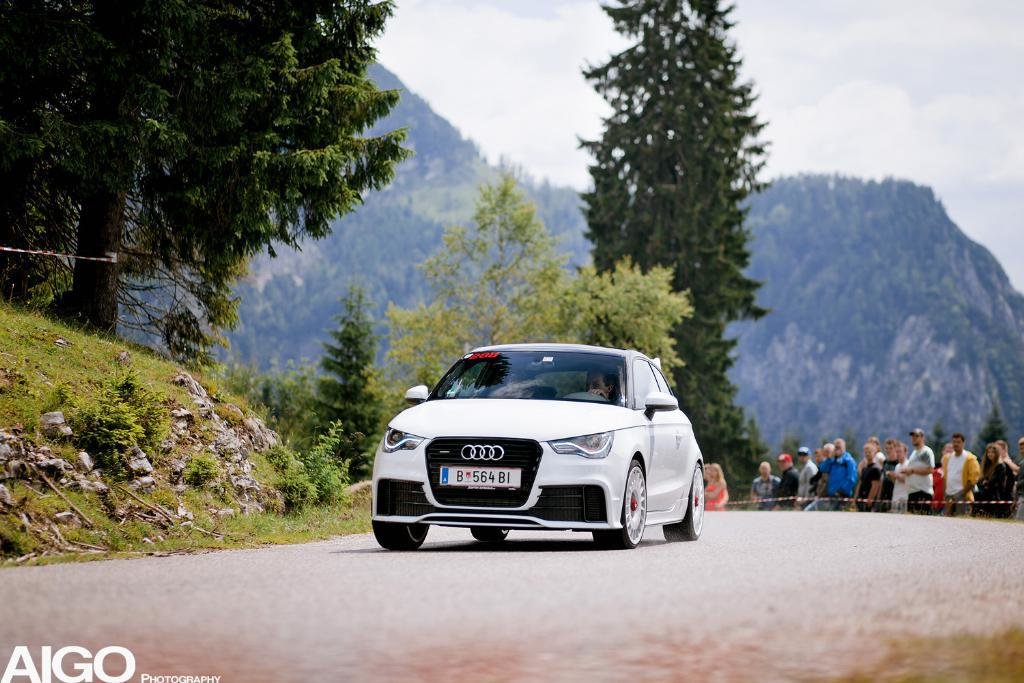 296190A1QUATTRO1072.jpg