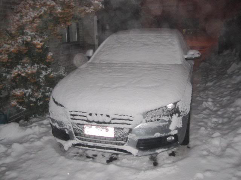 296230113NEIGEESQUIROU.jpg