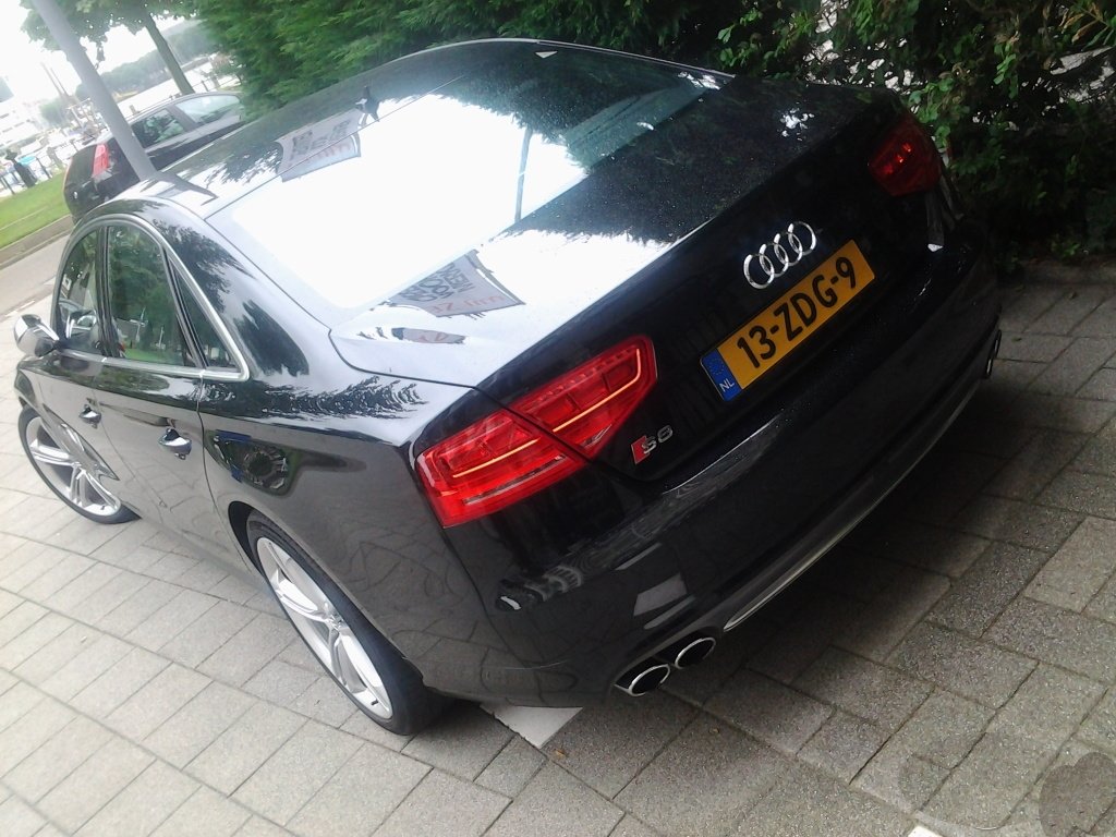 297842S8D4807.jpg