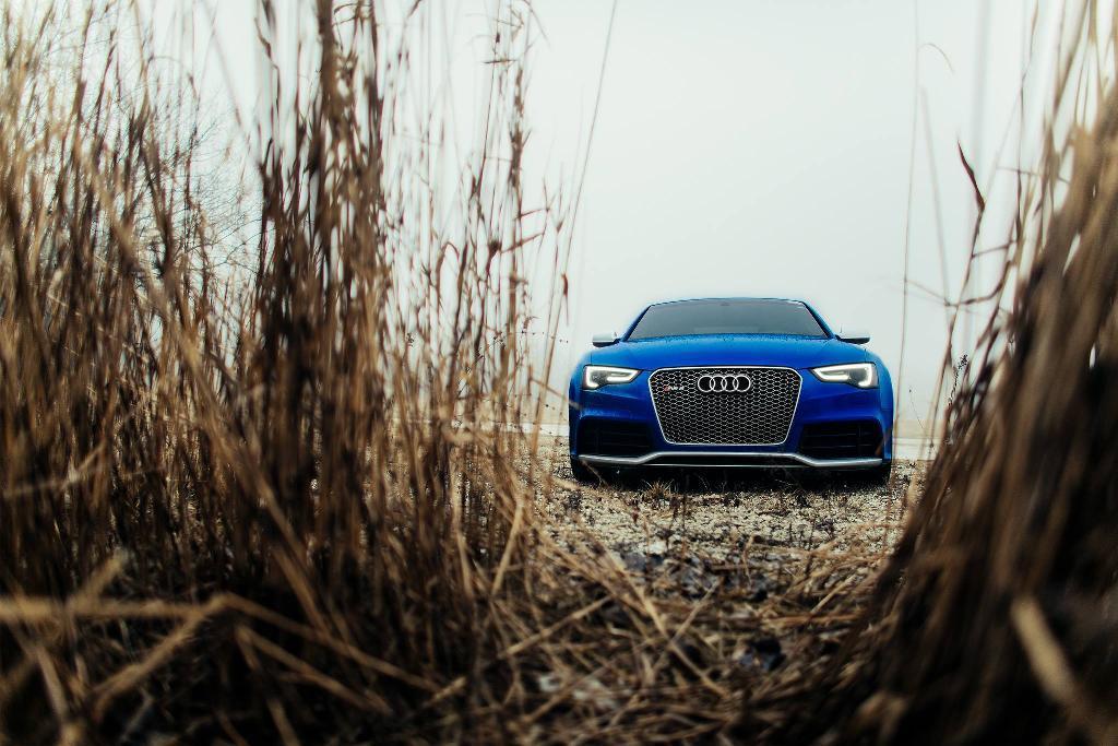 297931AUDIRS53028.jpg